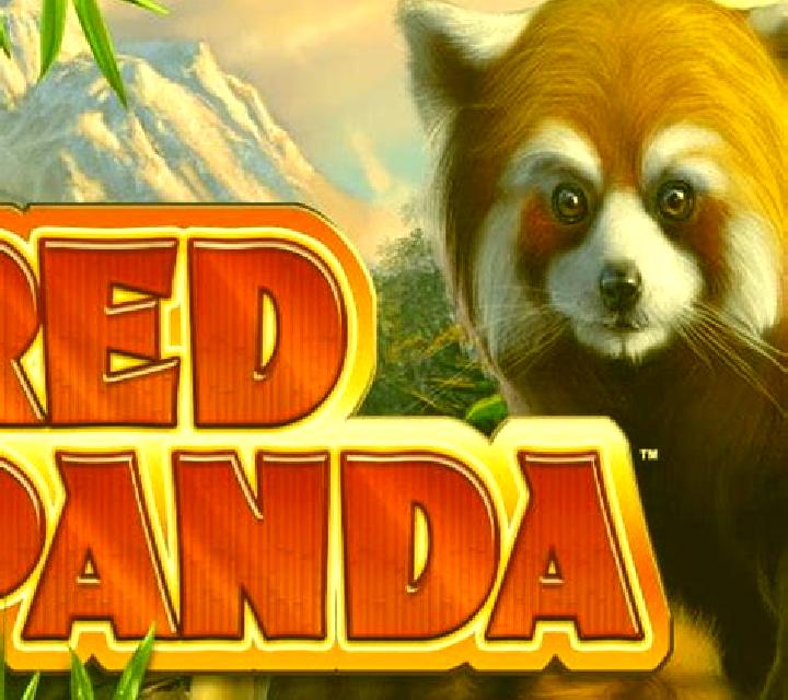 Red Panda (Spin Games) online slot
