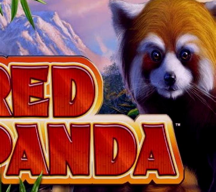 Red Panda (Spin Games) slot