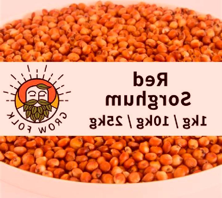 Red Sorghum online slot