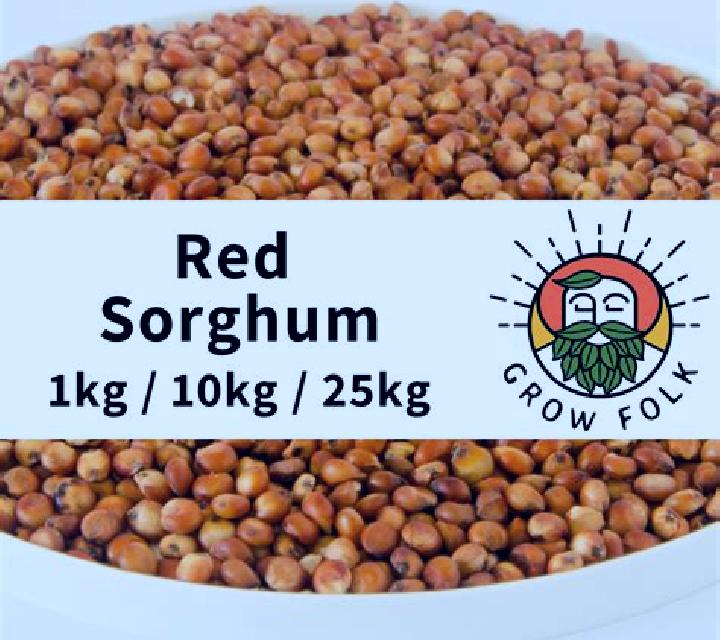 Red Sorghum slot game
