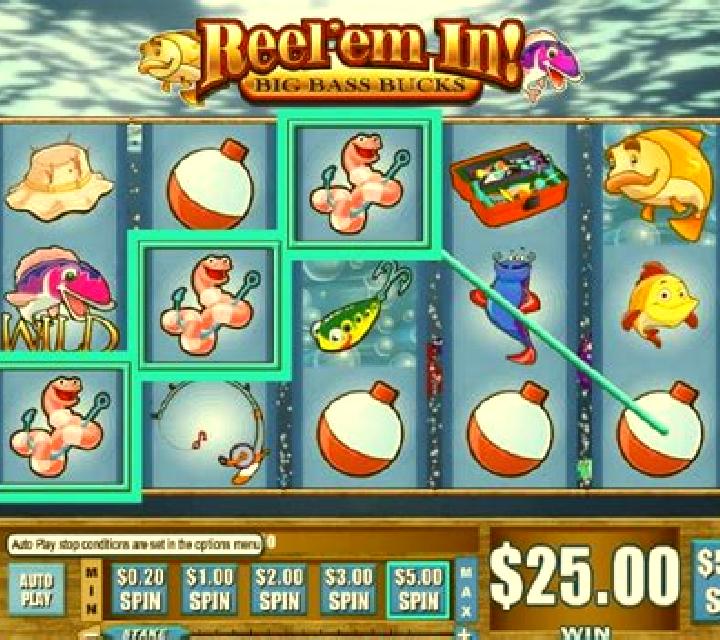 Reel em In! Big Bass Bucks slot