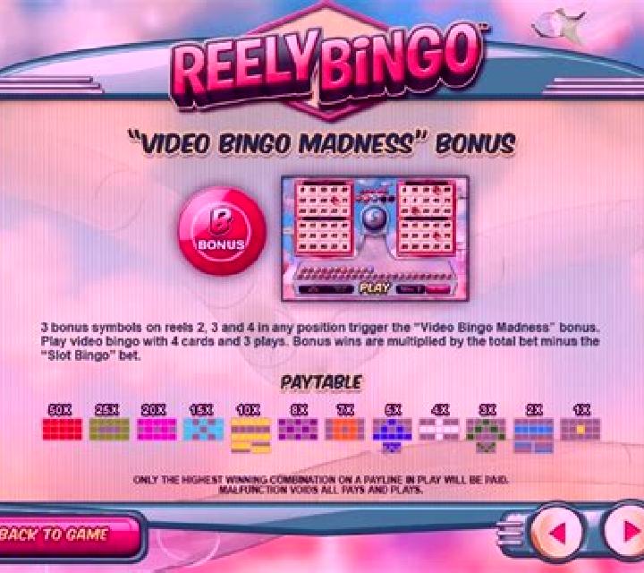 Reely Bingo slot game
