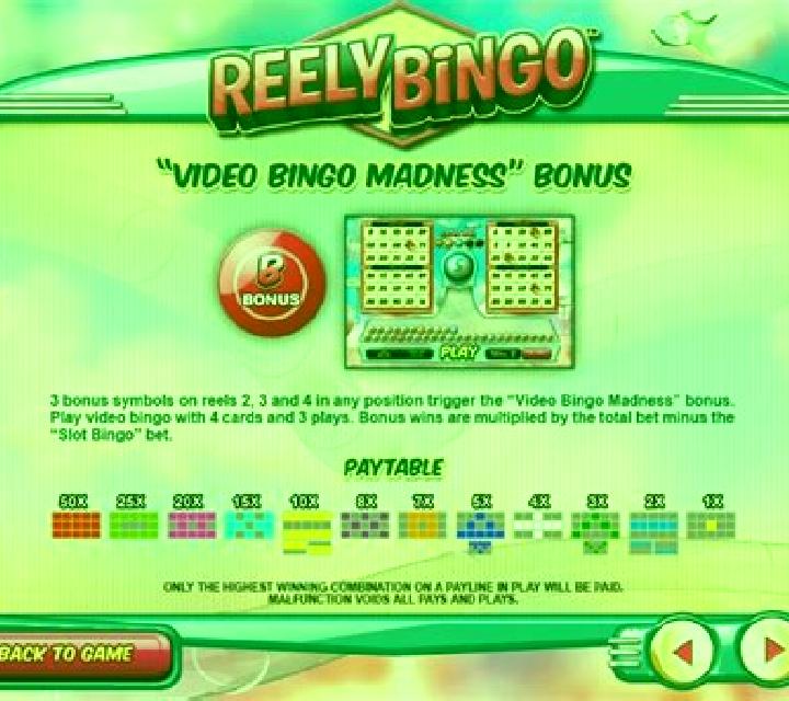 Reely Bingo slot