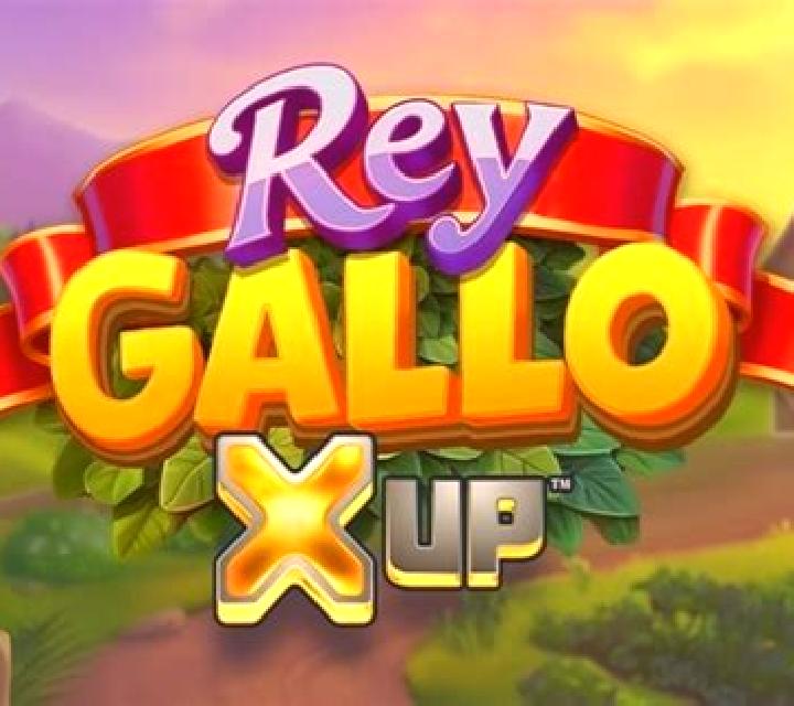 Rey Gallo X UP slot