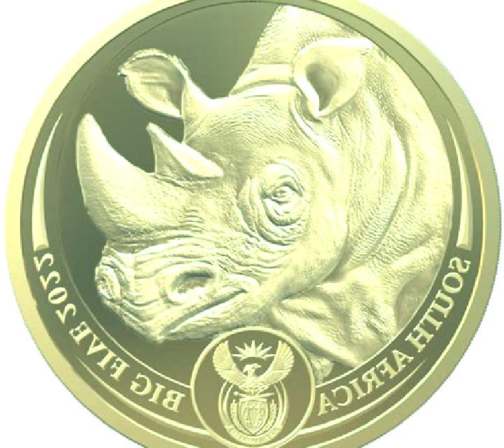 Rhino Coin slot game