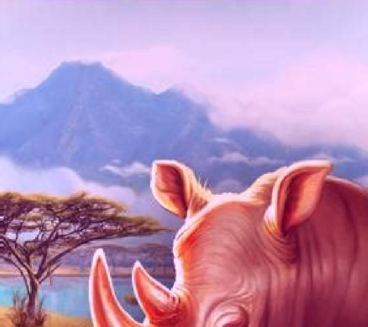 Rhino Hold and Win slot machine