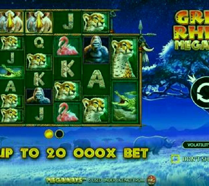 Rhino King slot game