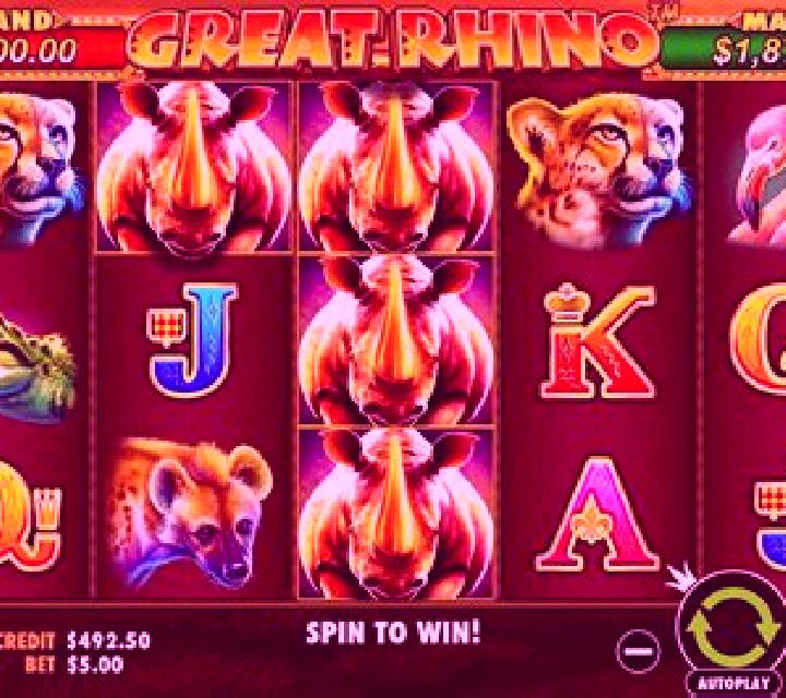 Rhino slot machine