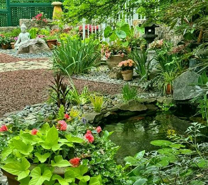Rich Garden online slot