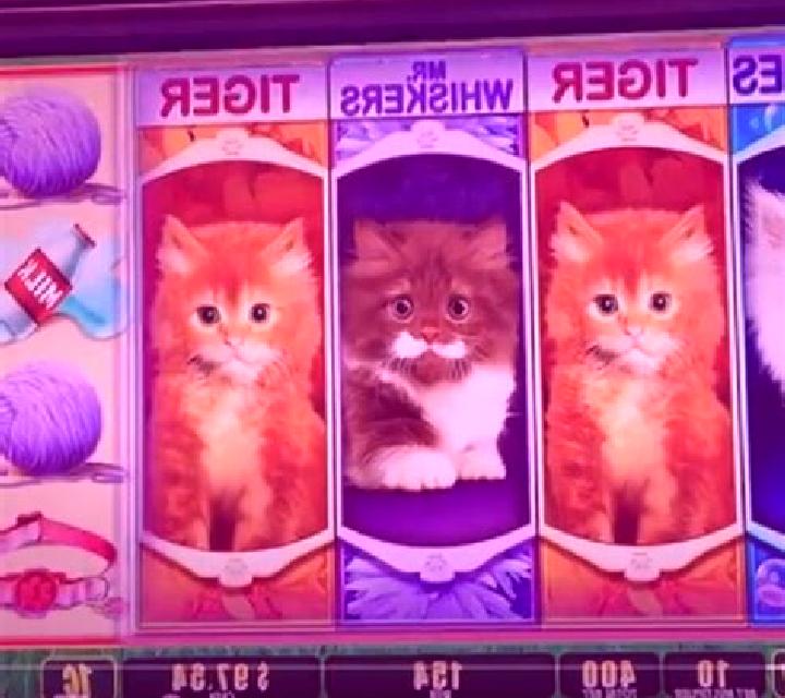 Rich Kittens slot game