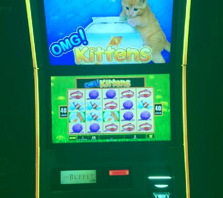 Rich Kittens slot machine