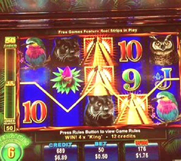 Rich n Wild slot machine
