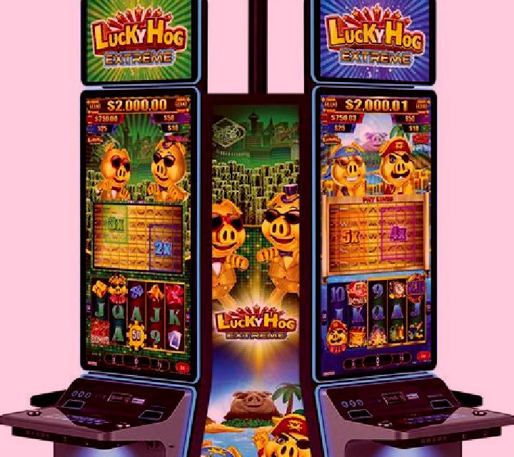 Richy Hog slot machine