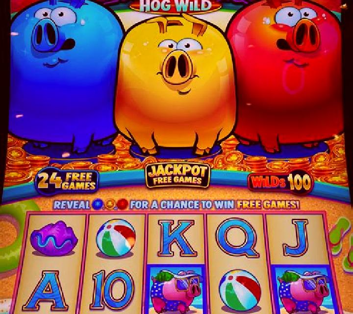Richy Piggy slot