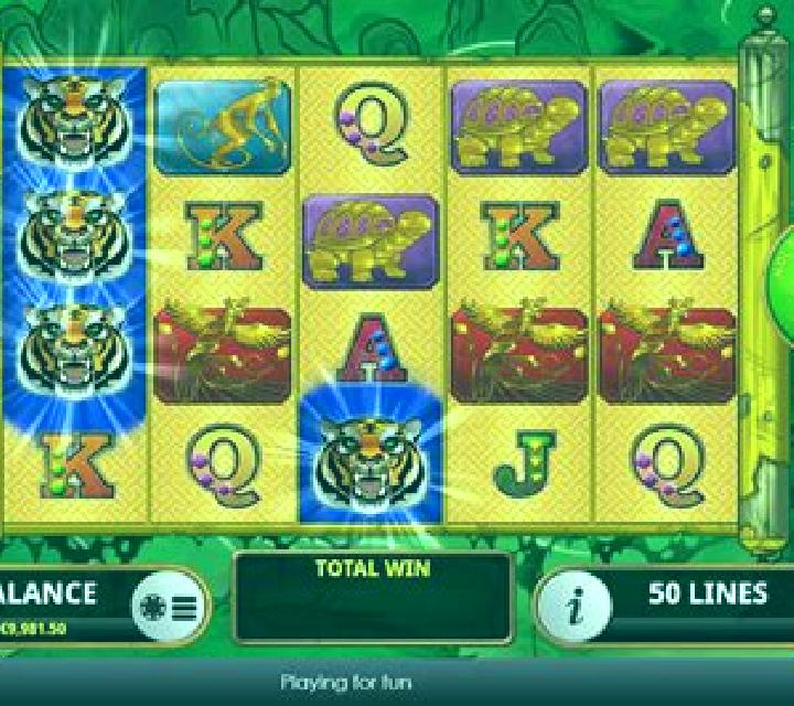 Ride the Tiger slot game