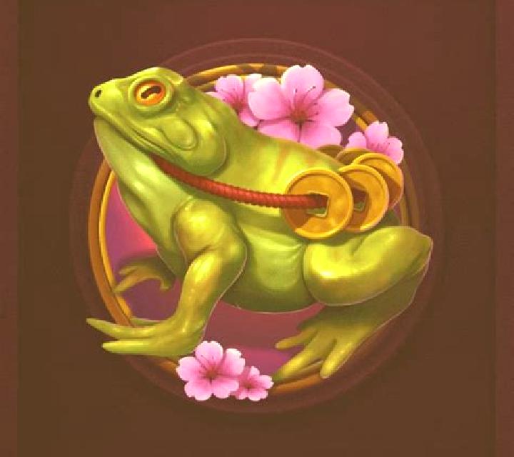 Rise of Frog: Book s Legacy slot game