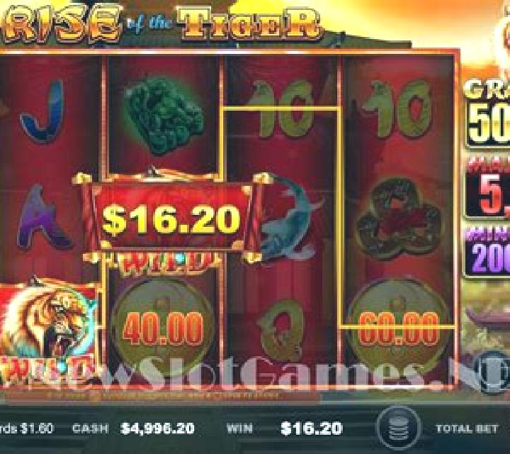Rise of the Tiger slot game