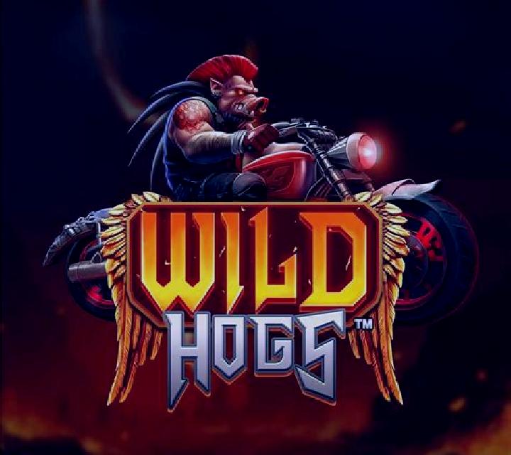 Road Hogs slot game