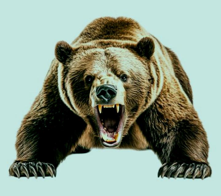 Roaring Bears online slot