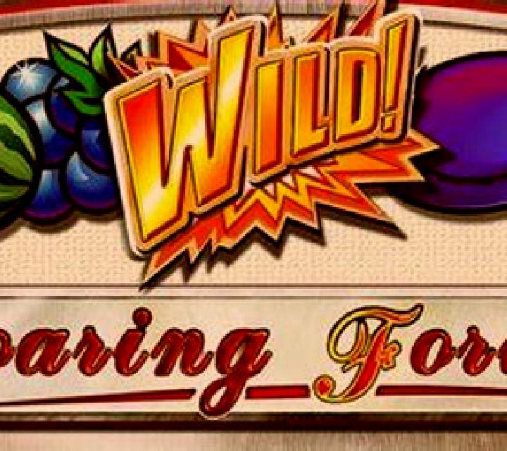 Roaring Forties slot machine