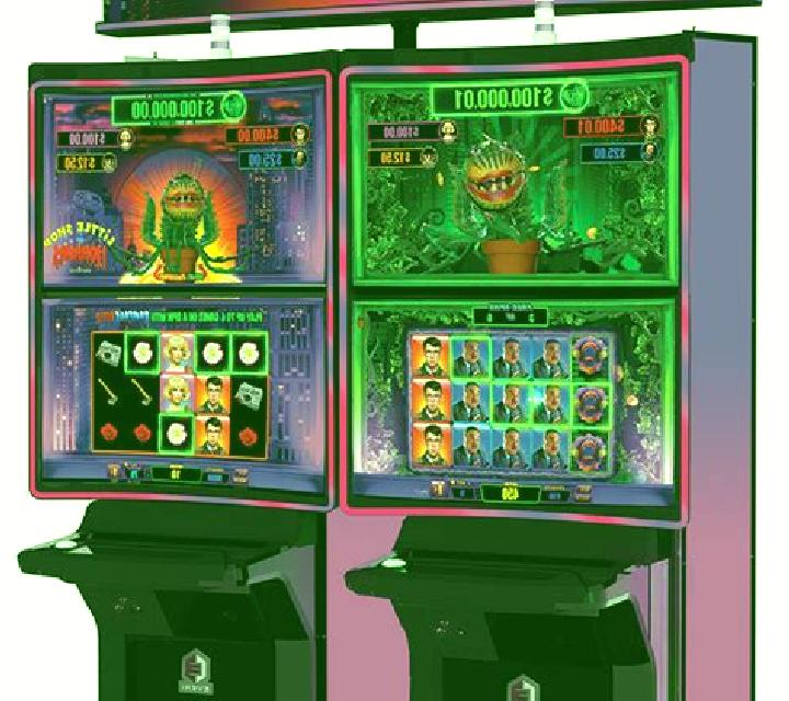 Rock Wild Shop slot machine