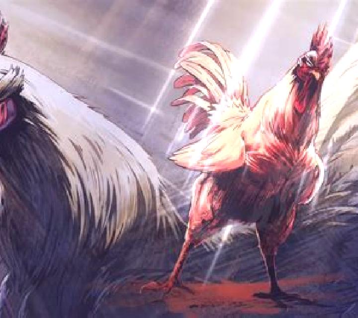 Rooster Fight slot game