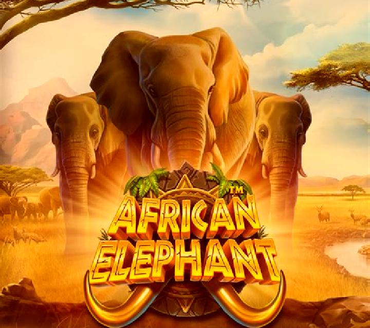 Royal Elephant slot game
