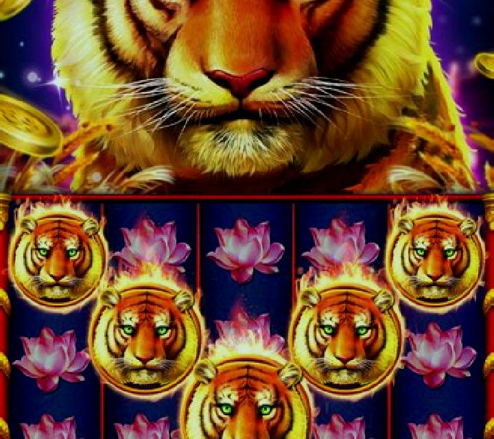 Royal Slots slot