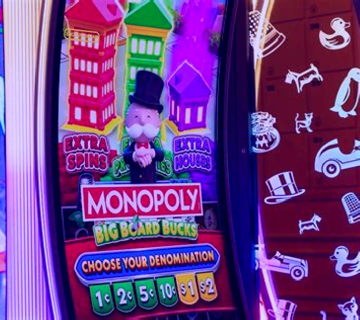 Safari – Down Under slot machine