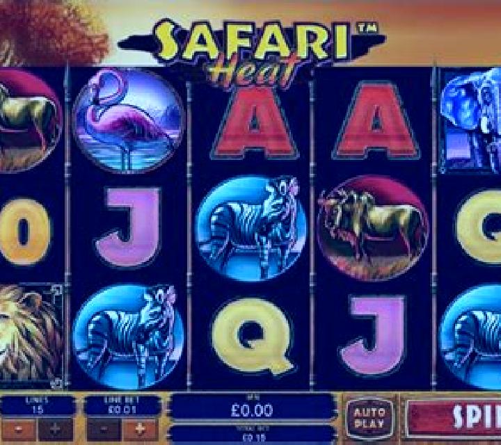 Safari Heat slot machine