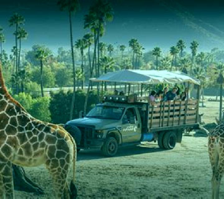 Safari Life 2 slot