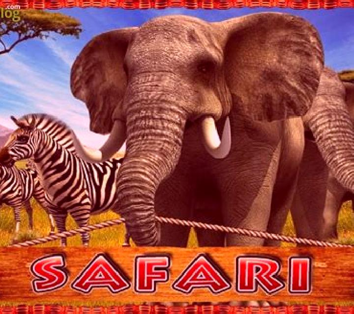 Safari (Octavian Gaming) slot