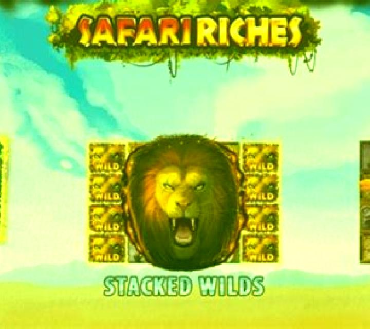 Safari Riches slot machine