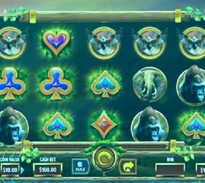Safari Stampede online slot