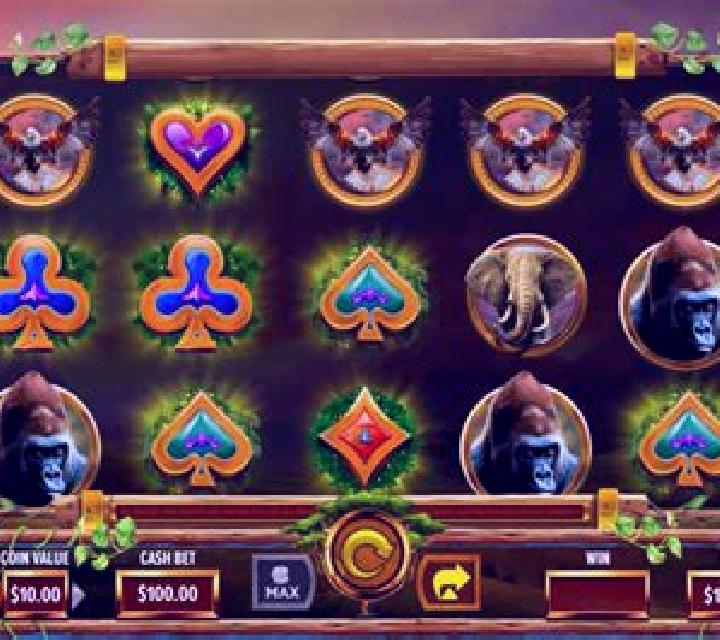 Safari Stampede slot