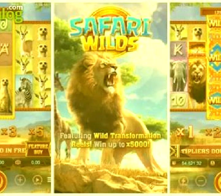 Safari Wilds slot
