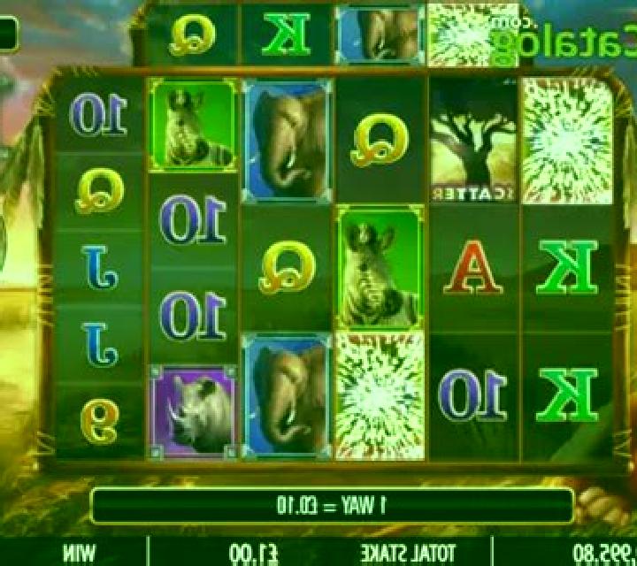Safari Wonders slot
