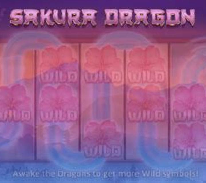 Sakura Dragon online slot