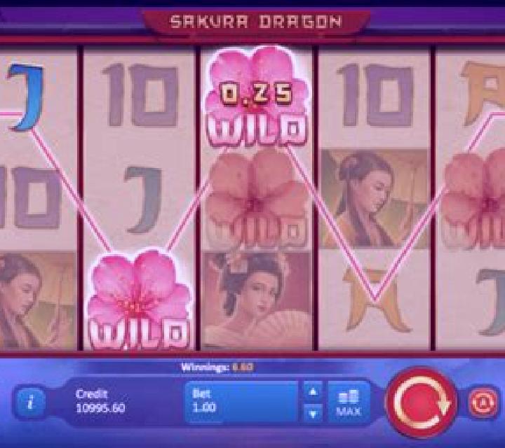 Sakura Dragon slot game
