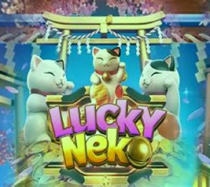 Sakura Neko slot game