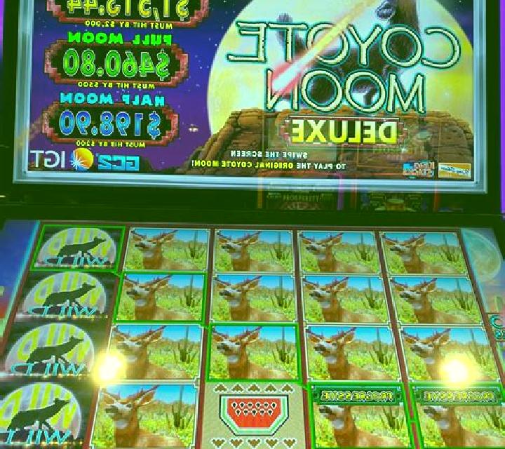 Savanna Moon slot machine