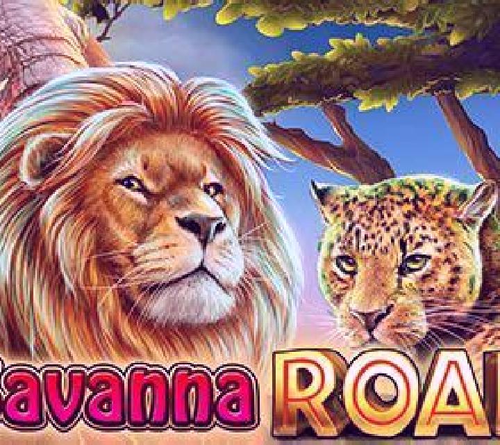 Savanna Roar slot game