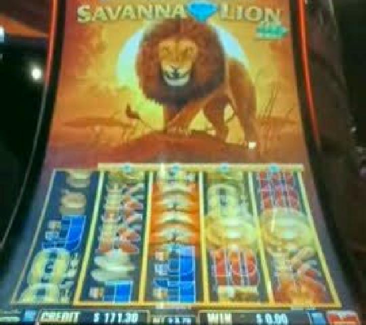 Savanna slot machine