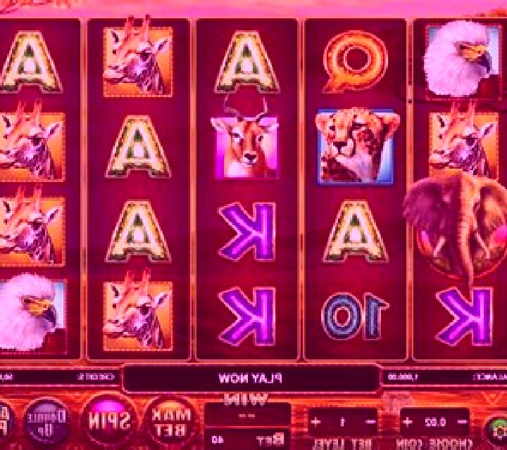 Savanna Stampede slot game