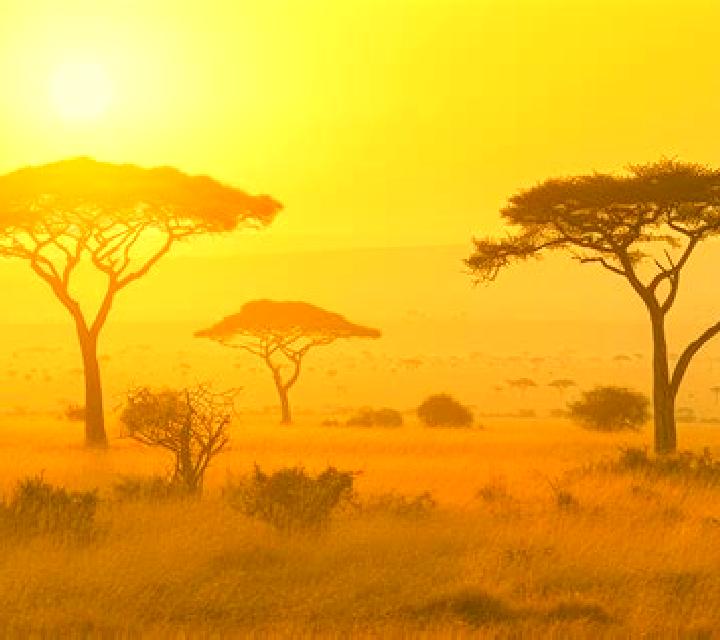 Savanna Sunrise Deluxe slot game