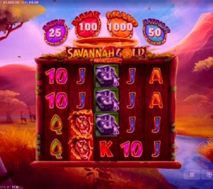 Savannah Gold: Coin of the Wild slot machine