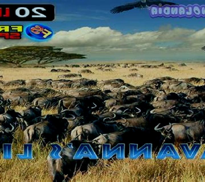 Savanna s Life online slot