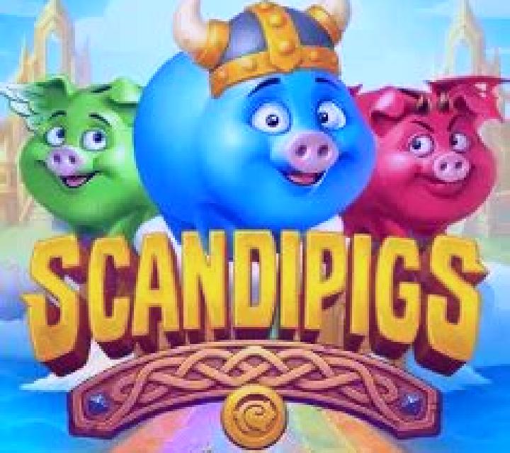 Scandipigs slot
