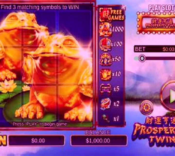 Scratch Prosperity Twin slot game