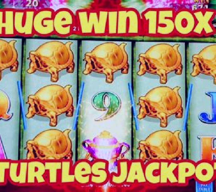 Sea Turtle slot machine